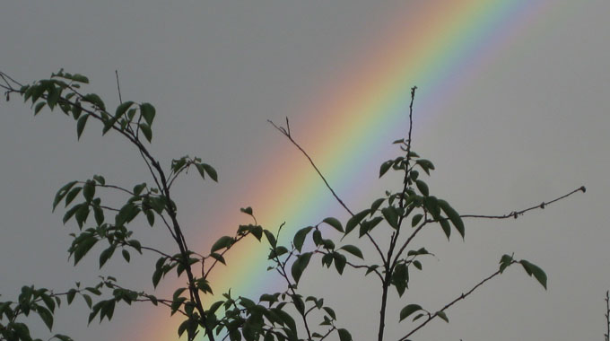 farewell-rainbow
