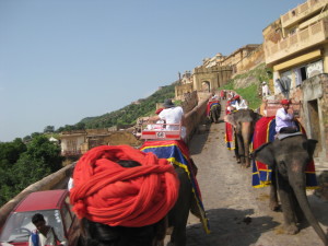 To_Jaipur_Fort