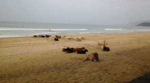 South Goa_beach_early_morning