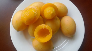 unknown fruit